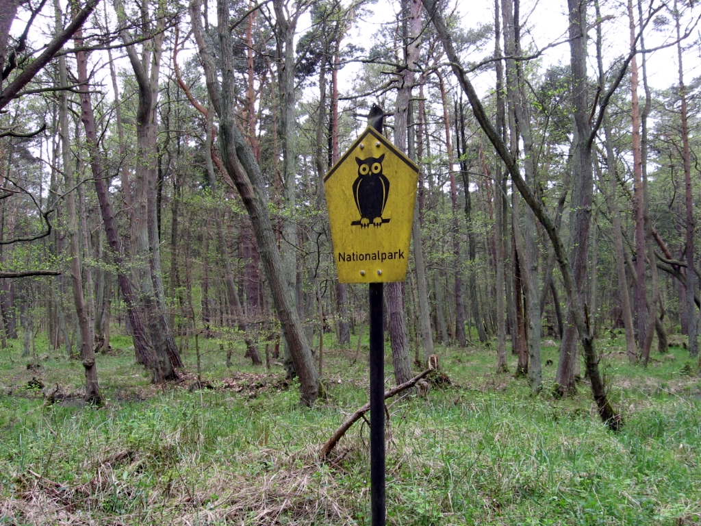 Duitsland Elly (9)